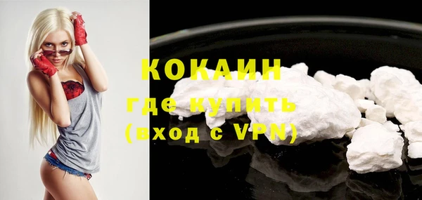 индика Бронницы