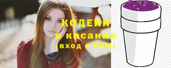 индика Бронницы