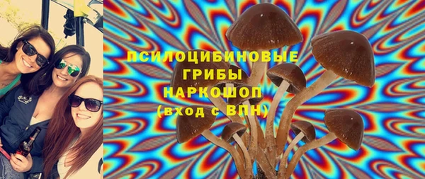 индика Бронницы