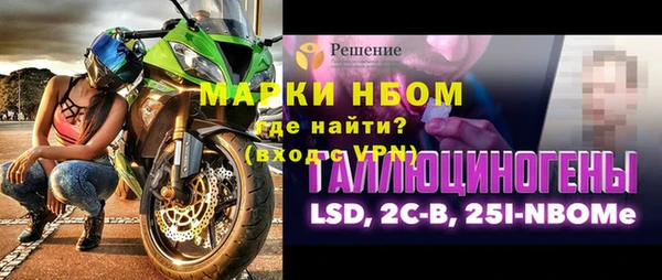 индика Бронницы