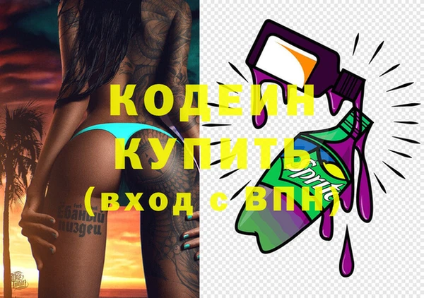 индика Бронницы