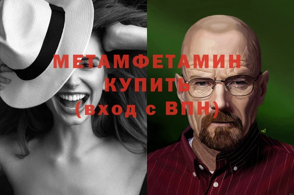 индика Бронницы