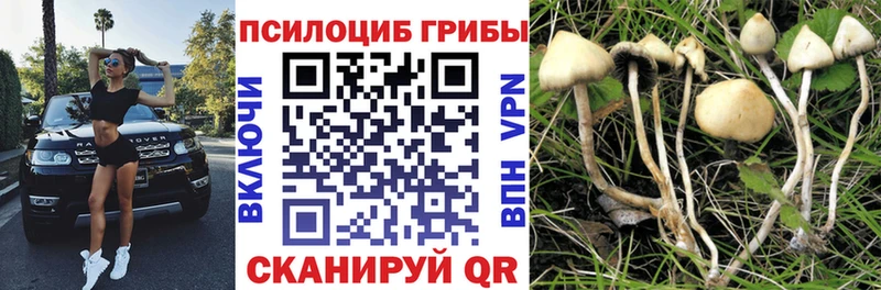 где найти наркотики  Горнозаводск  Псилоцибиновые грибы Magic Shrooms 